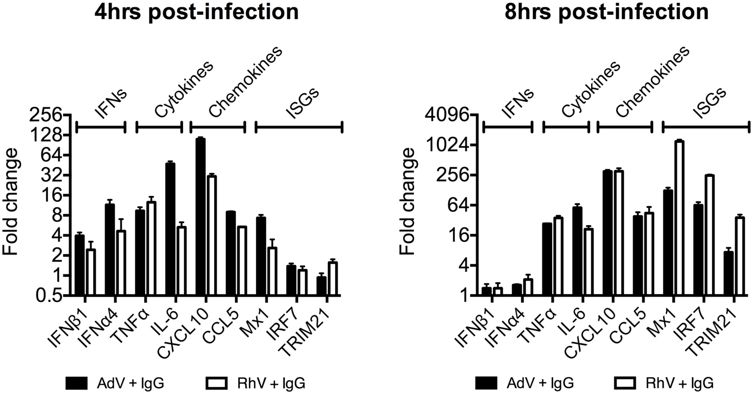 Transcriptional profiles induced by different antibody-opsonized viruses are differentially modulated during infection.