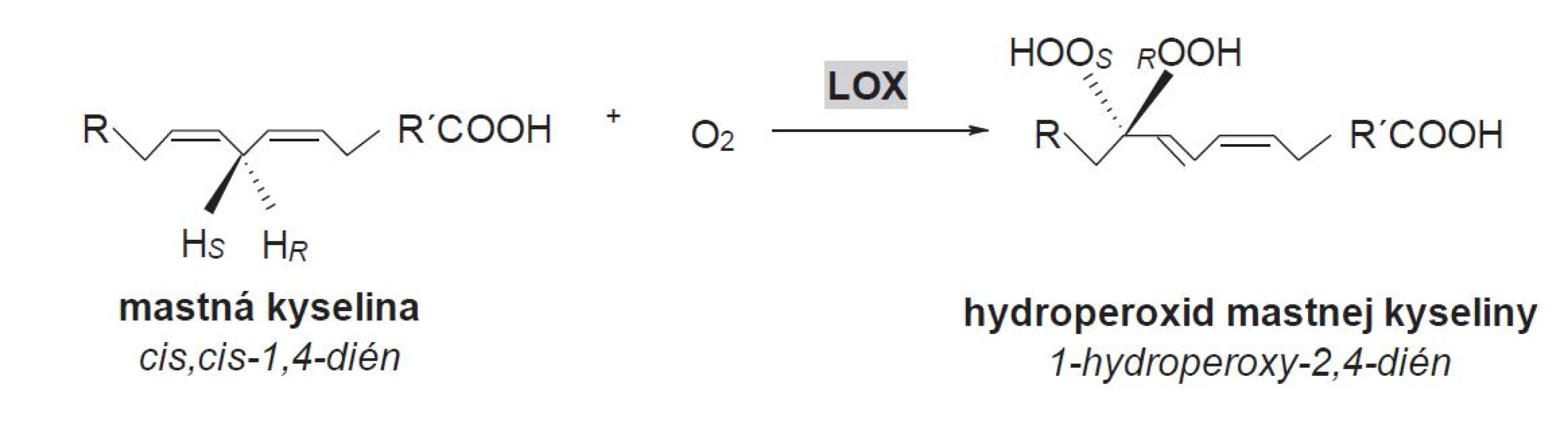 Hydroperoxidácia (1Z,4Z)-penta-1,4-diénovej štrukturálnej jednotky v alifatickom reťazci MK (R,R´ – alifatický zvyšok, &lt;sub&gt;S,R&lt;/sub&gt; – stereošpecifické označenie)