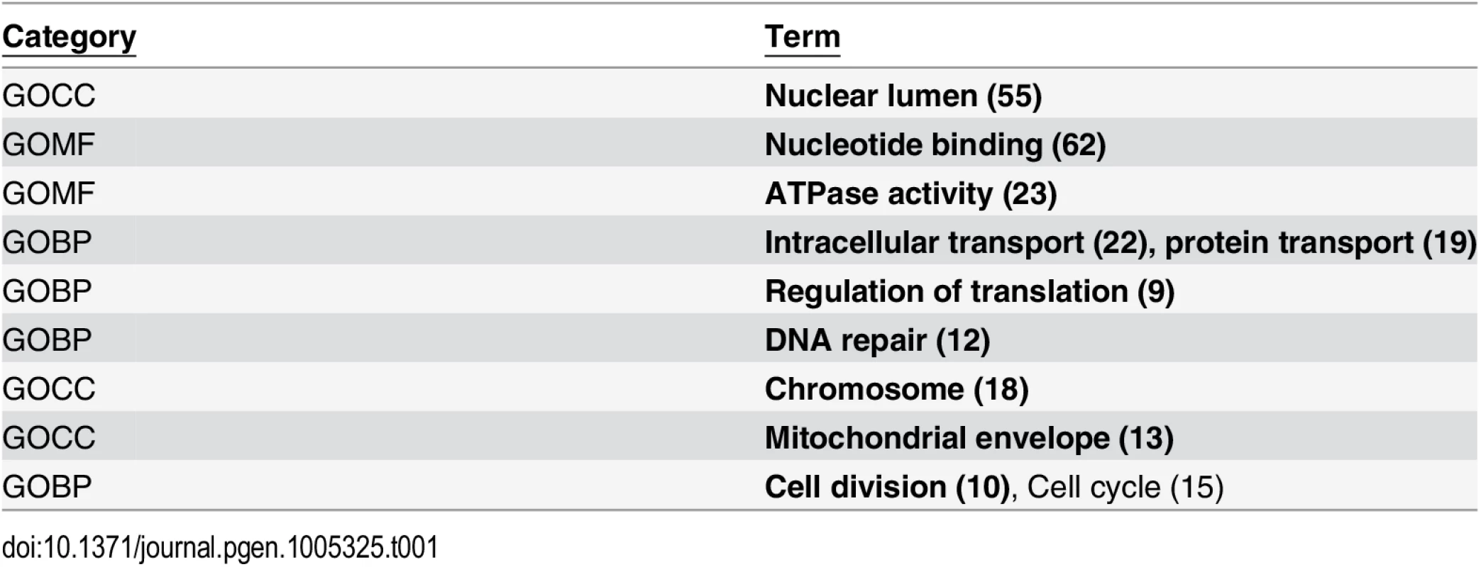 Gene Ontology categories of 205 putative RND3 binding partners.