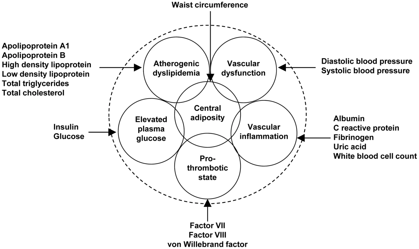 Variables used to characterize six metabolic syndrome domains.