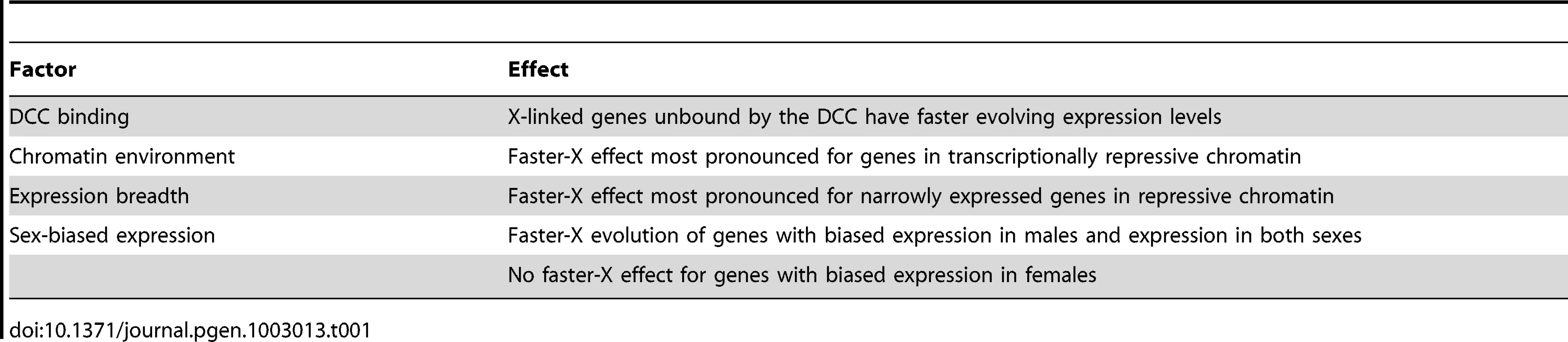 Factors that contribute to the faster-X evolution of gene expression.