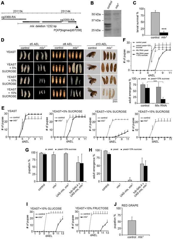 <i>Drosophila</i> larvae lacking functional Mlx display strong intolerance to dietary sugars.