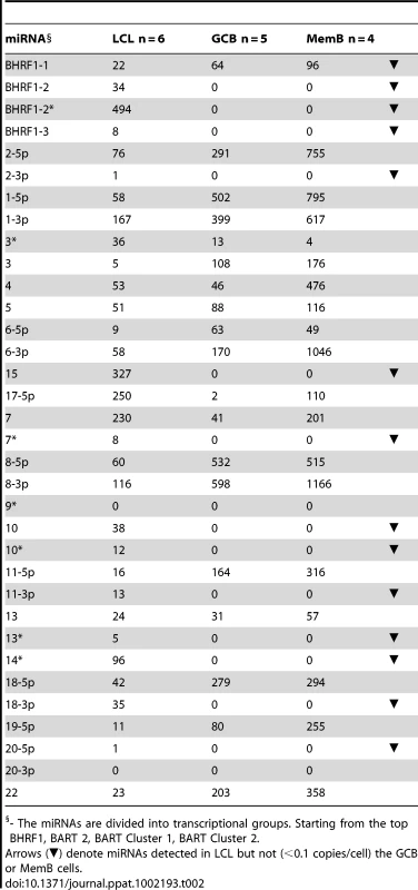 Copy number per cell of EBV miRNAs in normal infected tissues and spontaneous lymphoblastoid cell lines.