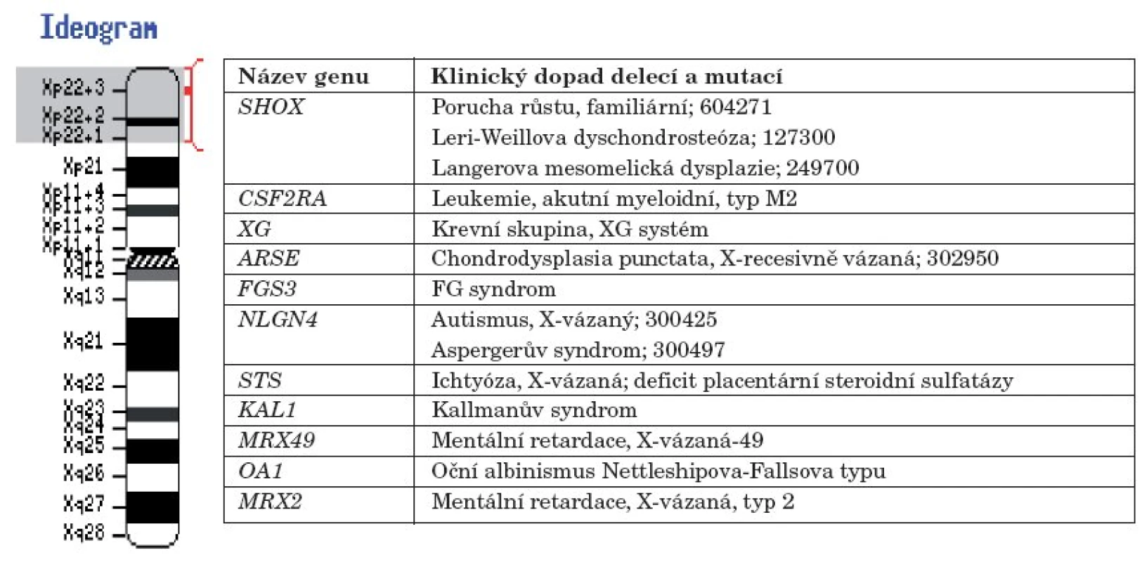 Chromozom X a klinický dopad mutací a delecí v genech na chromozomu X v oblasti Xp22.1 –
Xp22.3 (upraveno podle NCBI Genome Resource Guides).