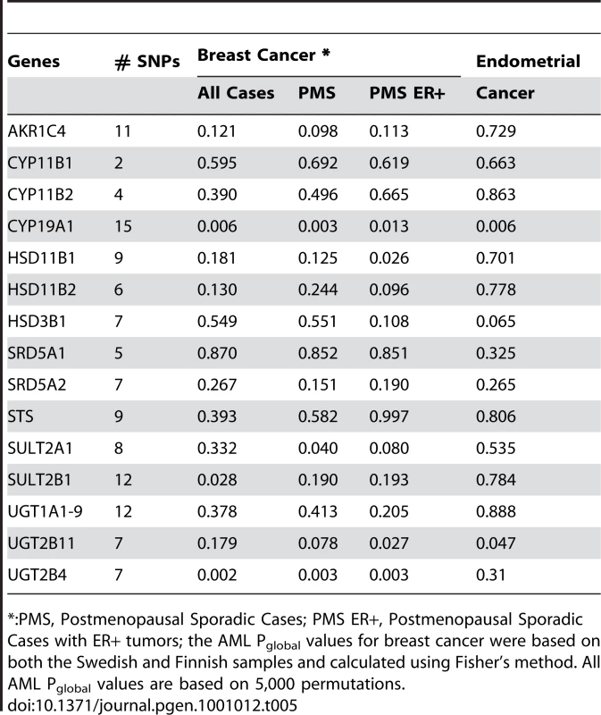 Gene-based AML P<sub>global</sub> values for the 15 genes within the androgen-to-estrogen conversion sub-pathway.