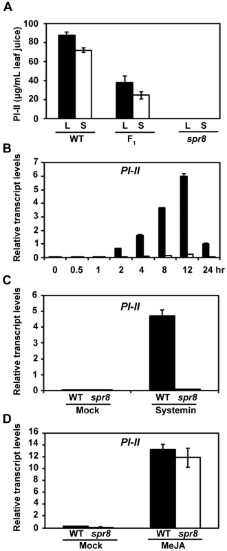 <i>spr8</i> impairs the wound-induced expression of PI-II.