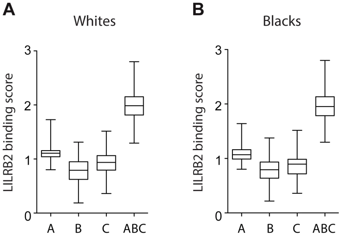 LILRB2-HLA binding score variations in 2900 white (A) and 1490 black (B) patients.
