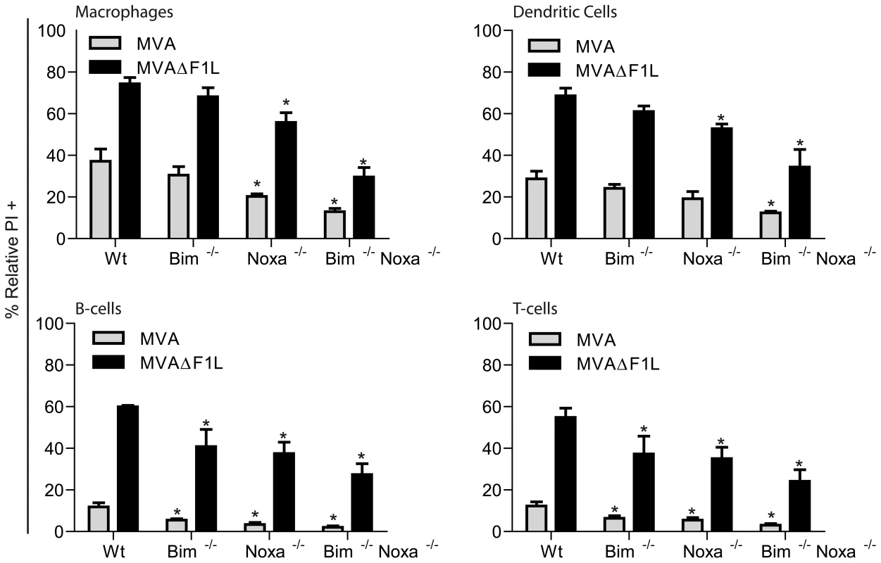 Contributions of Noxa and Bim to apoptosis induced by MVA and MVAΔF1L in primary MVA target cells.