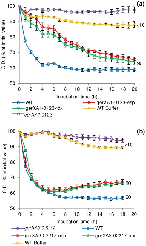 Germination rates of complemented GR mutants for <i>C. botulinum</i> and <i>C. sporogenes</i>.