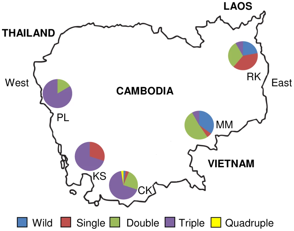 The map of Cambodia showing study sites.