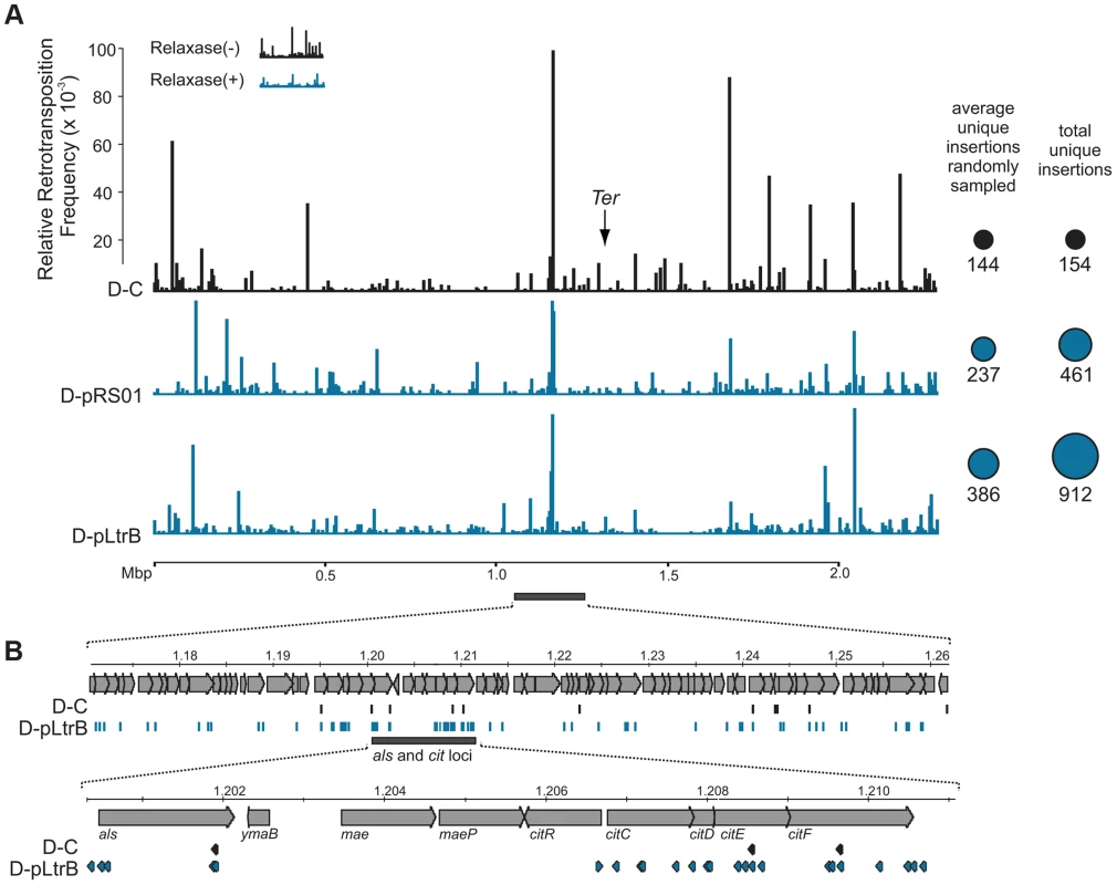 Mapping of retrotransposition events along <i>L. lactis</i> chromosome.