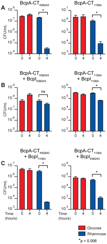 Intracellular toxicity of BcpA-CT proteins and protection by BcpI proteins.