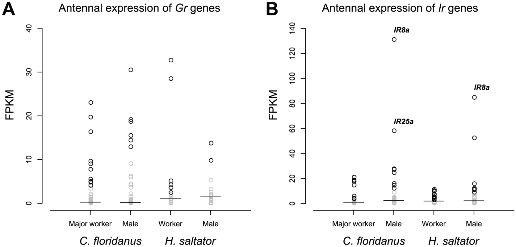 Expression levels of <i>Gr</i> and <i>Ir</i> genes.