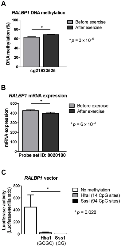 DNA methylation of RALBP1 is associated with a decrease in gene expression.