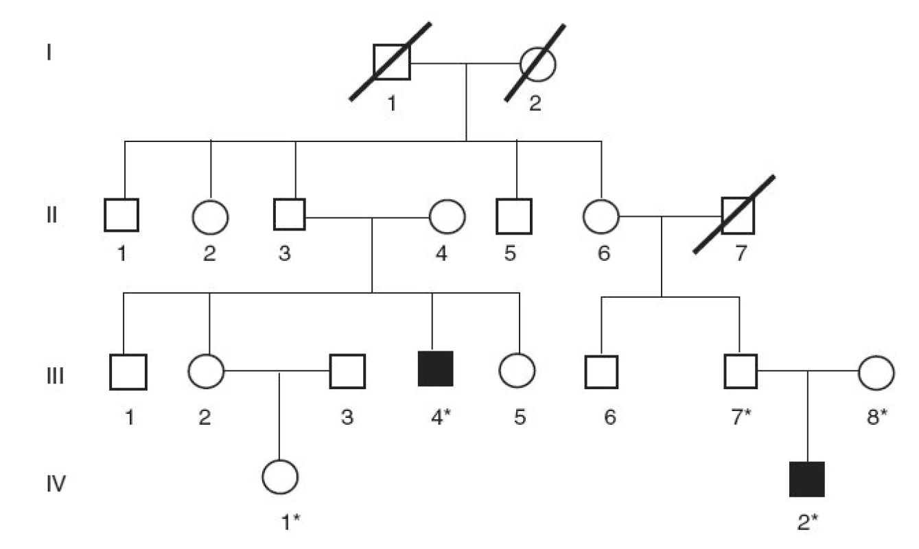Rodokmeň nerómskej rodiny s Criglerovým-Najjarovým syndrómom typu I. (* označuje členov rodiny, od ktorých sme získali DNA vzorky)