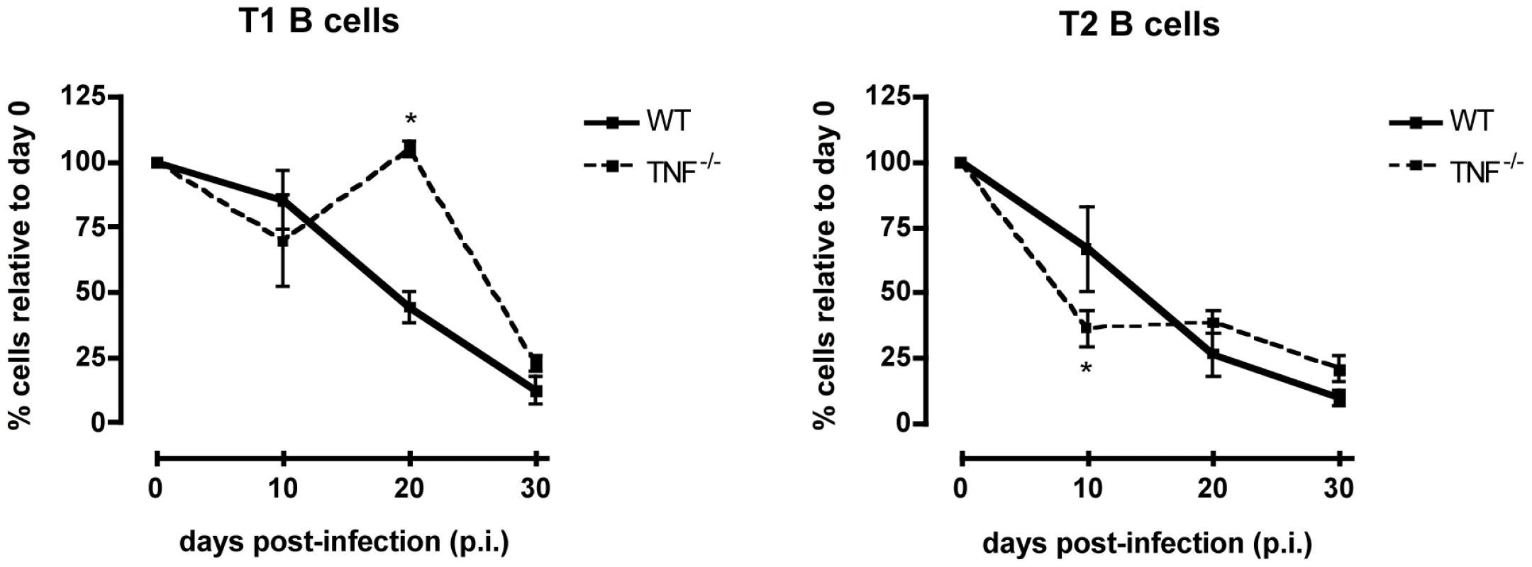 Transitional T1 and T2 B cells in <i>T. brucei</i>-infected C57Bl/6 WT versus TNF<sup>−/−</sup> mice.