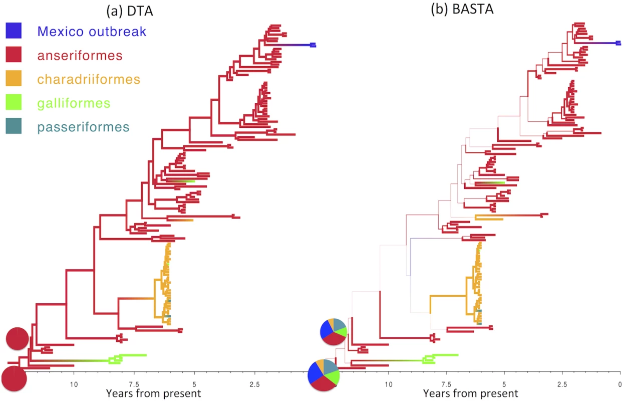 Inference of ancestral host species on the AIV dataset.
