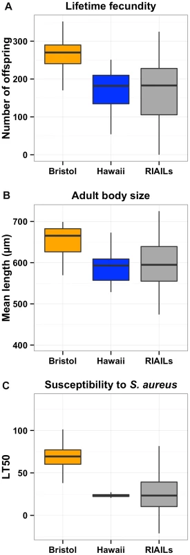 Phenotypic distributions of three quantitative traits for the Bristol and Hawaii parents along with the RIAILs.