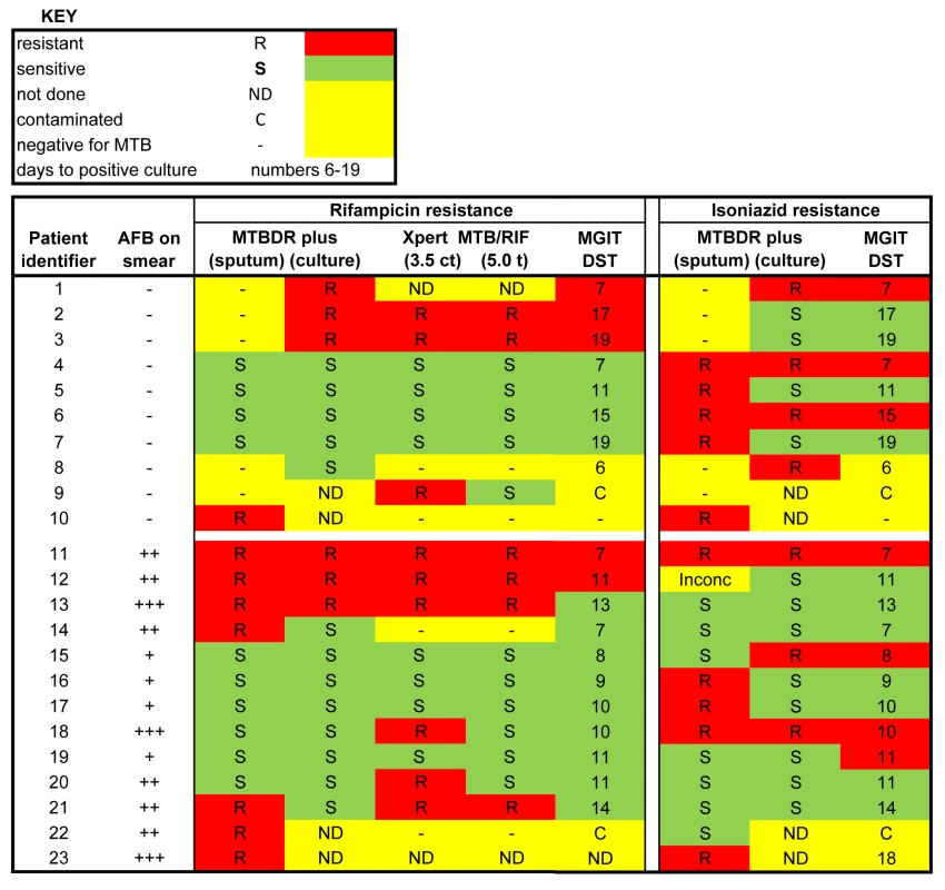 Heat map showing drug susceptibility profiles from 23 samples based on Xpert MTB/RIF, MTBDRplus on sputum, MTBDRplus on cultured isolates, and phenotypic culture (MGIT DST).