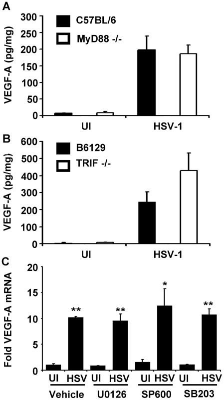 VEGF-A expression is not dependent on the TLR adaptors MyD88 or TRIF.