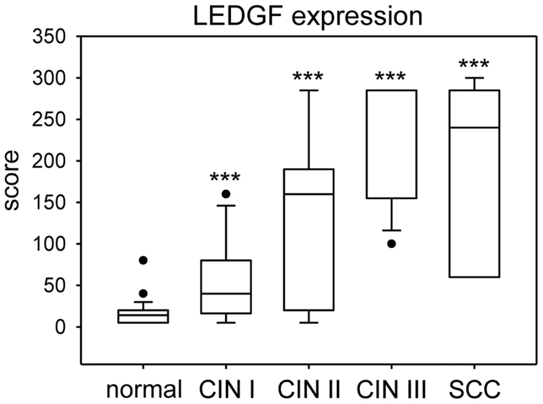 Box plot of LEDGF protein expression in cervical tissue.