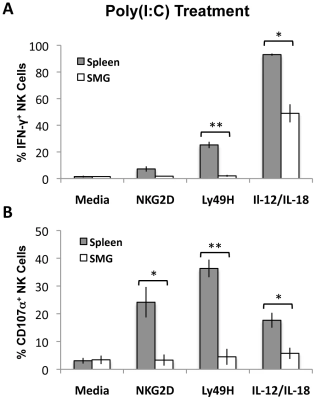Poly(I∶C) primed SMG NK cells have impaired IFN-γ and degranulation compared with splenic NK cells.