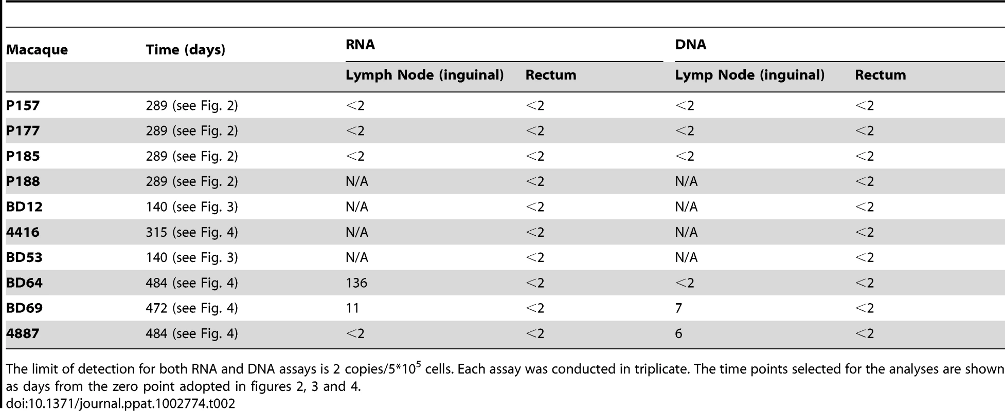 Cell associated RNA and DNA in lymph nodes and rectum.