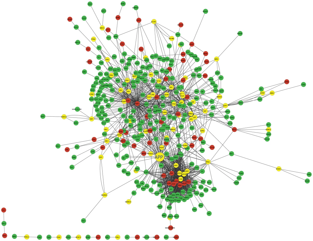 The cross eQTL group protein–protein interaction network in islets.