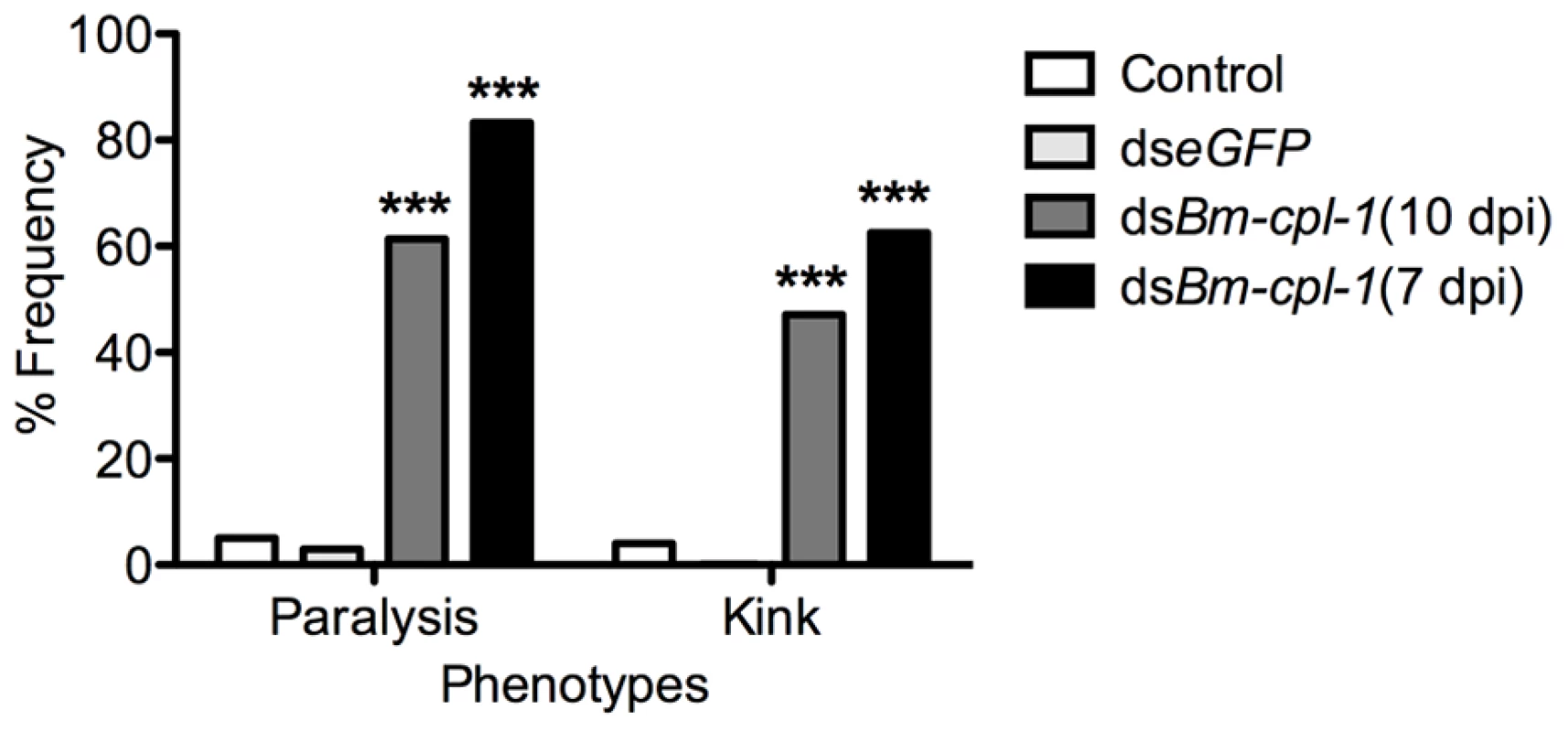 The frequency of caudal paralysis and kinked posture of dsRNA <i>Bm-cpl-1</i>-exposed <i>B. malayi</i>.