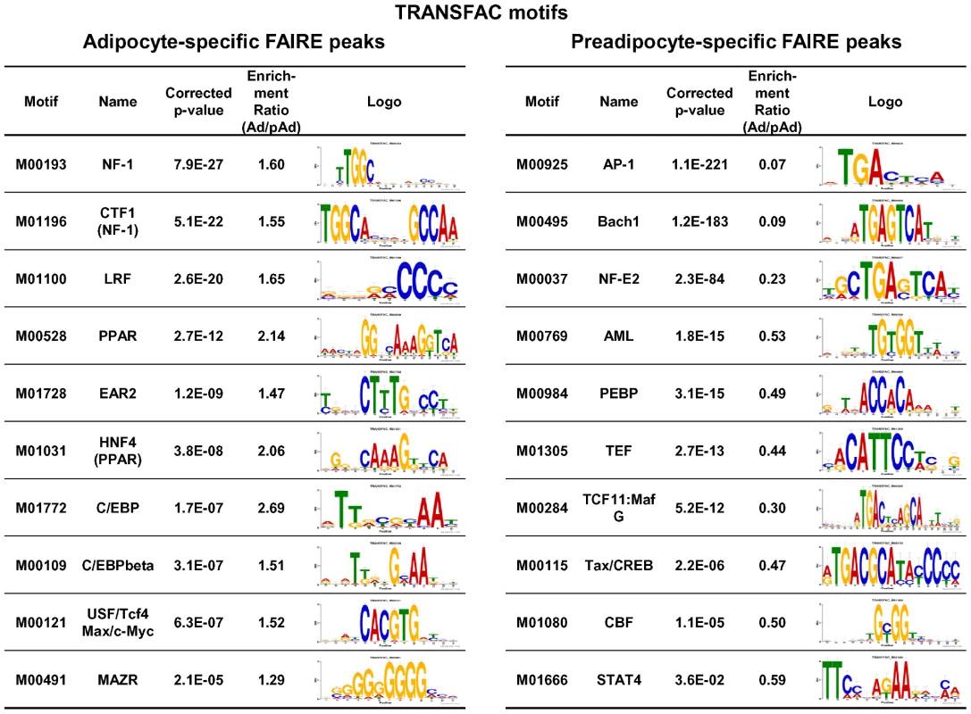 Known motif enrichment analysis of adipocyte- or preadipocyte-specific FAIRE peaks (TRANSFAC motifs).