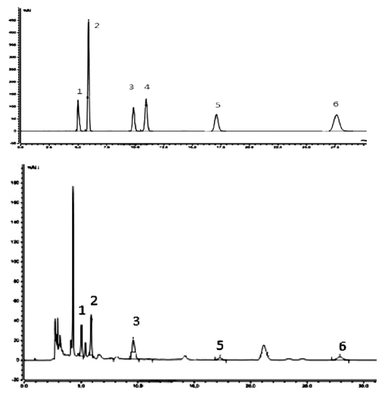 HPLC-UV/VIS chromatograms of representative samples: above – standards, below – extract 6 (cultivated on millet) of C. sinensis