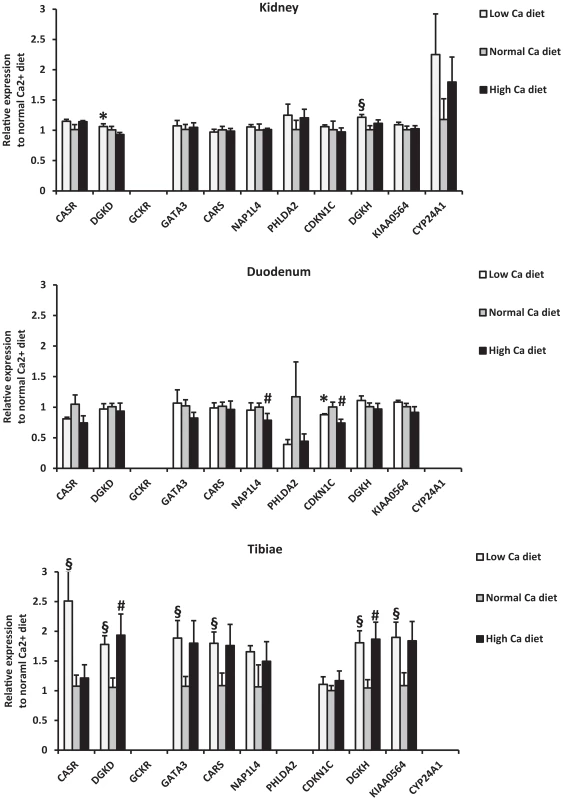 Relative mRNA expression of identified genes from mice fed a low (0.17%) and high (1.69%) calcium diet compared to mice fed a normal calcium diet (0.82%).