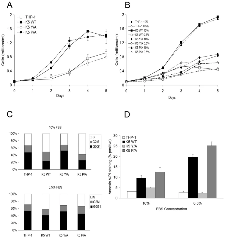 THP-1 cells stably expressing wild-type K5 have increased growth rate, which is serum dependent.