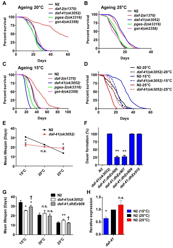 <i>daf-41</i> mutants extend lifespan at elevated temperatures and shorten life span at lower temperatures.