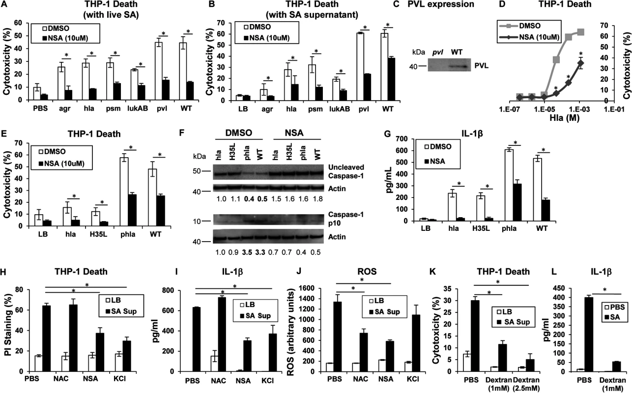 Necroptosis and inflammasome activation share signaling components