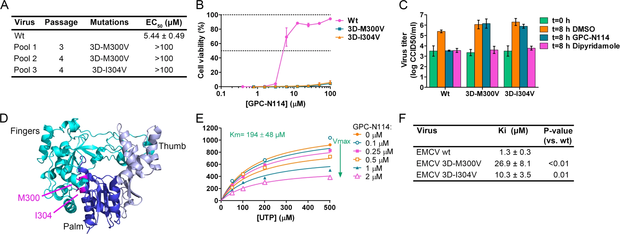 Mutations in EMCV 3D<sup>pol</sup> confer resistance to GPC-N114.