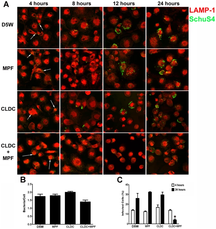 CLDC+MPF mediated control of <i>F. tularensis</i> replication in human macrophages.