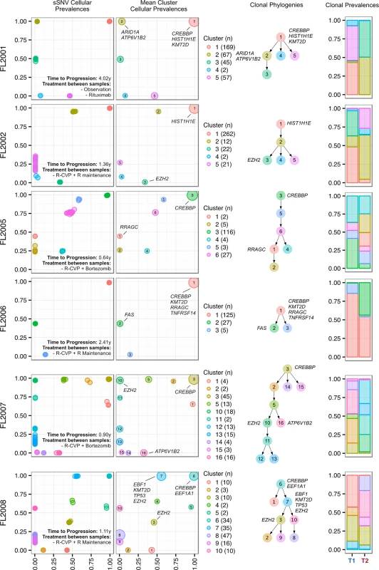 Clonal phylogenies of progressed follicular lymphoma samples.