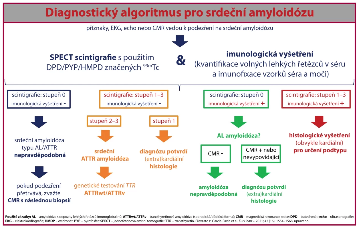 Diagnostický algoritmus pro srdeční amyloidózu