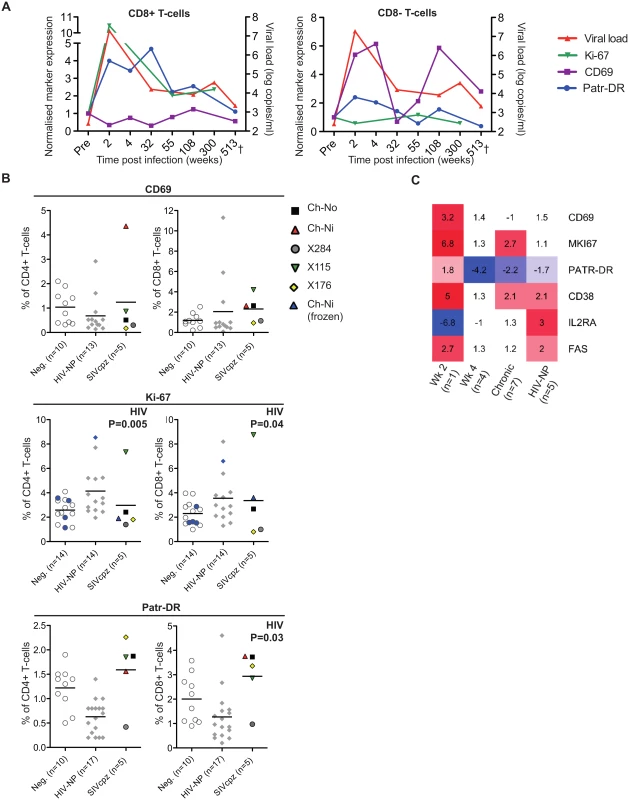 Peripheral blood T-cell activation in SIVcpz infected animals.