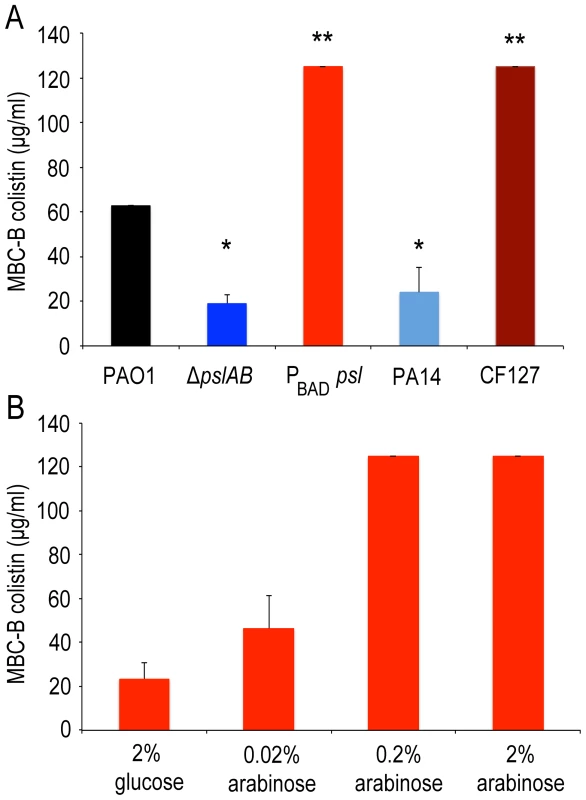 Over-expression of <i>psl</i> increases biofilm tolerance to colistin.