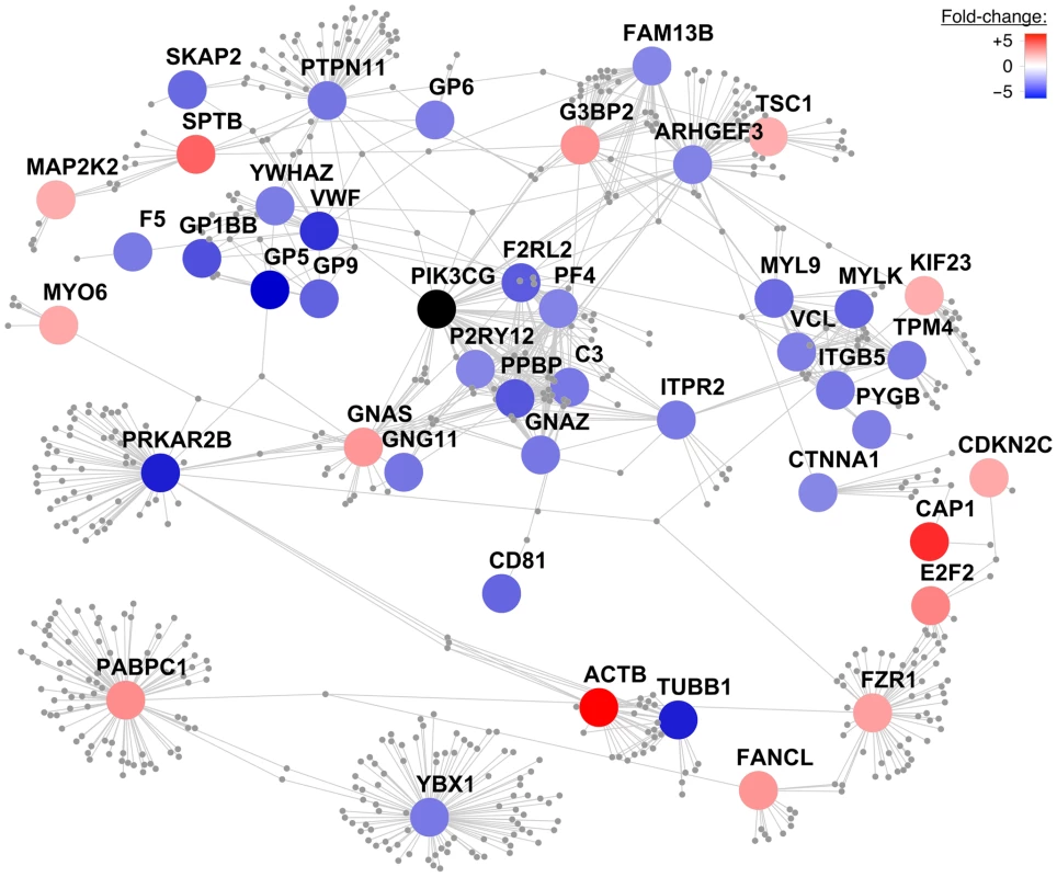 Protein–protein interaction network centered on PIK3CG.