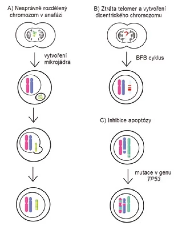 Schéma možných mechanizmů vzniku chromotripse.