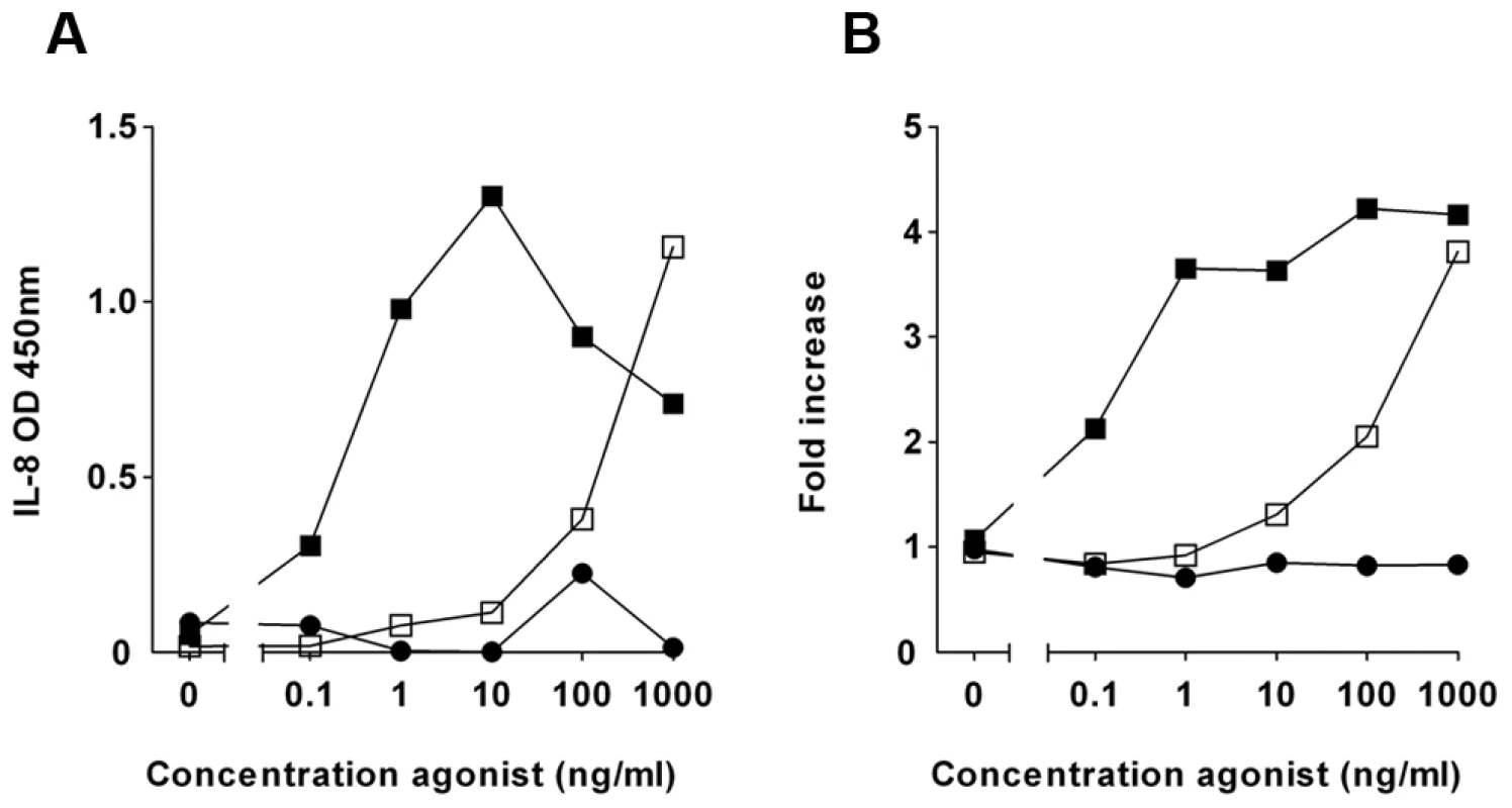 Fractionated <i>P. aeruginosa</i> supernatant inhibits TLR5 activation.