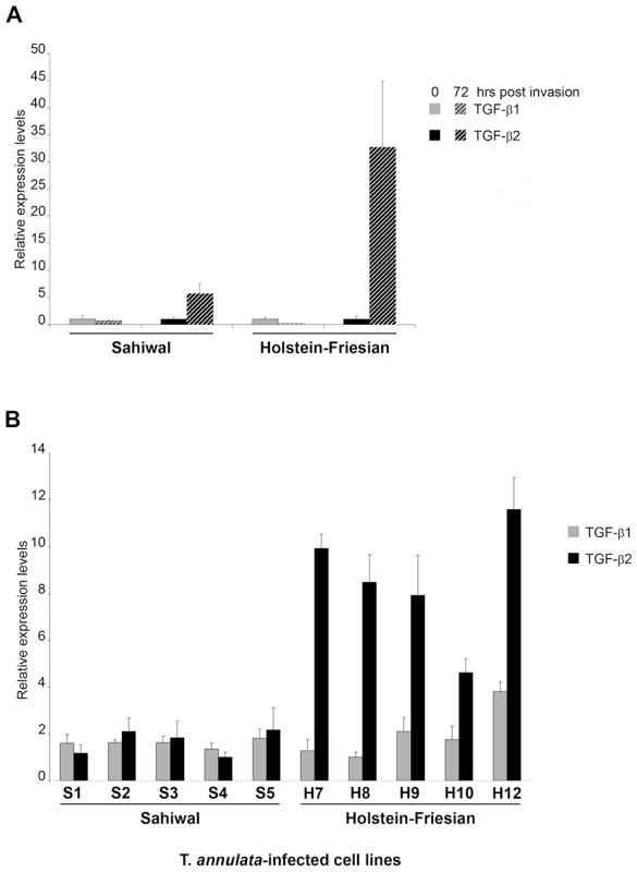Induction of <i>TGF-b2</i> by <i>T. annulata</i> is greater in infected macrophages isolated from disease-susceptible compared to disease-resistant bovine hosts.