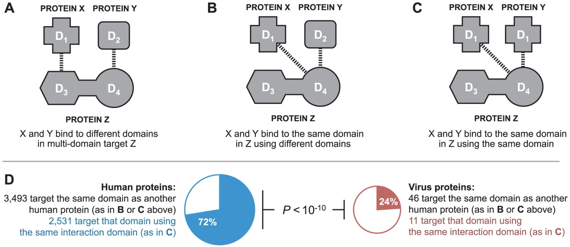 Binding site mimicry evolves differently in virus and host proteins.