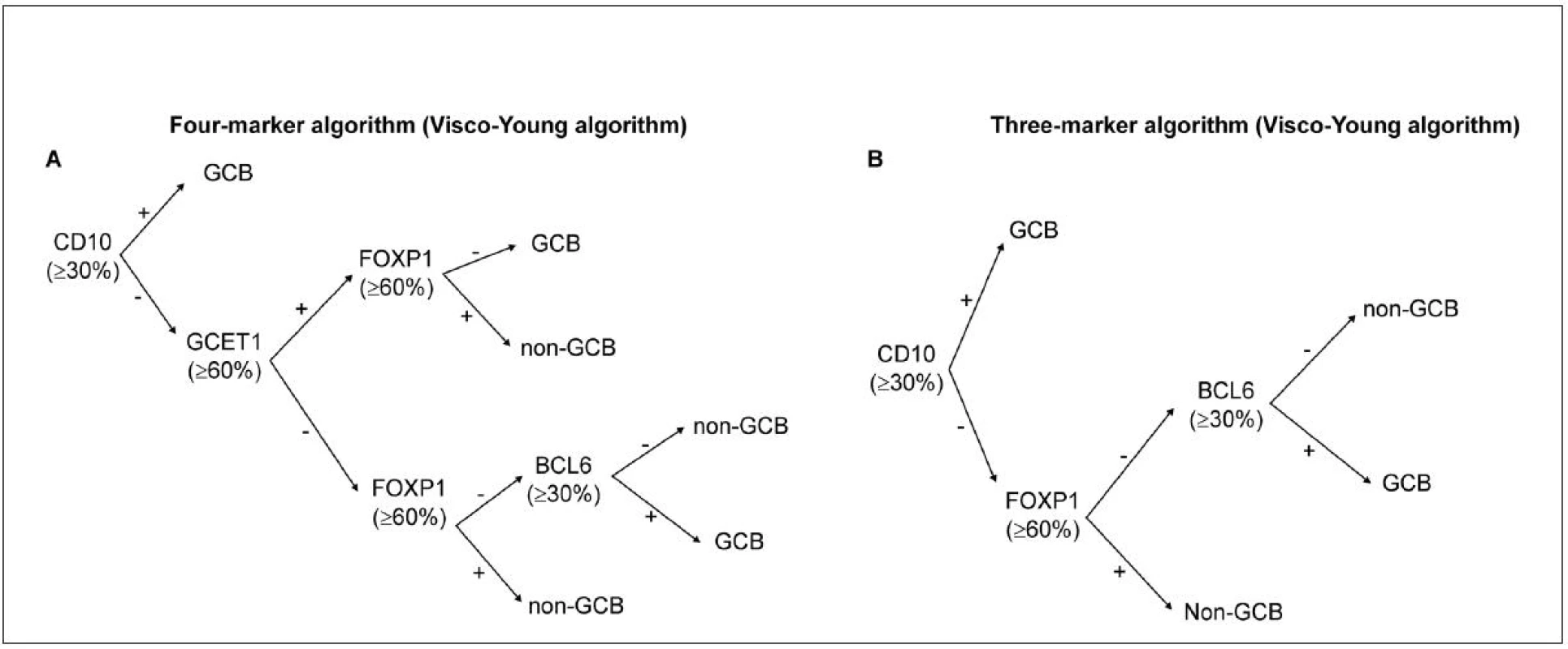 Rozdělení subtypů DLBCL pomocí IHC: algoritmus dle Visco-Young (48).