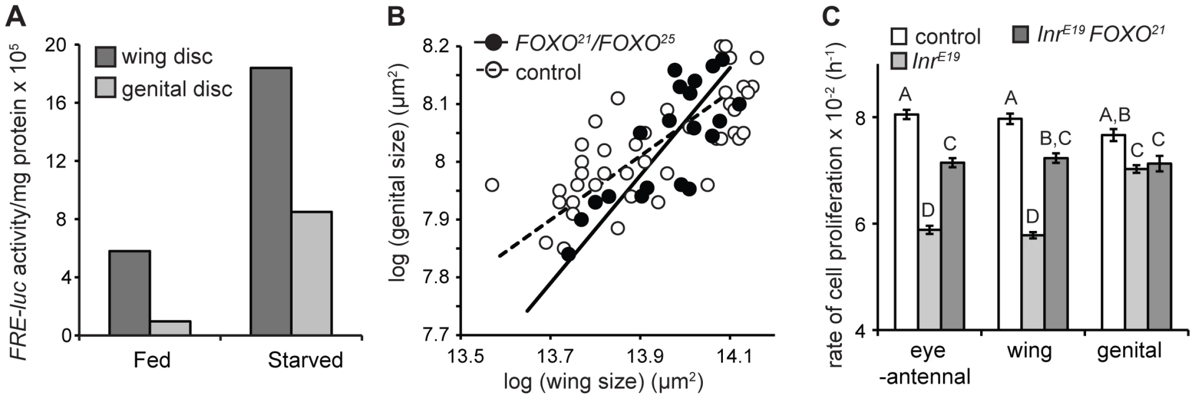 FOXO is necessary to maintain organ-specific nutritional plasticity and insulin sensitivity.