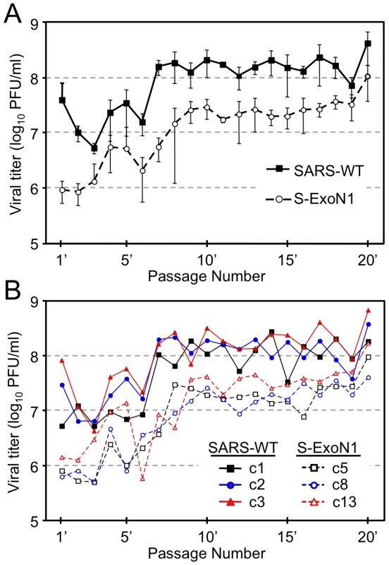 SARS-WT and S-ExoN1 titers across 20 population passages.