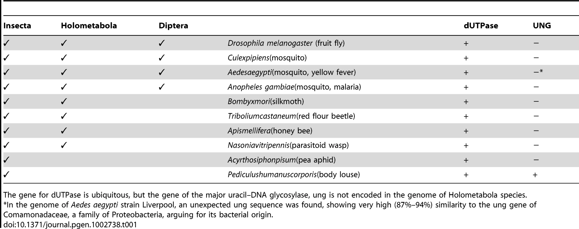 Occurrence of genes encoding dUTPase and UNG in different insects.